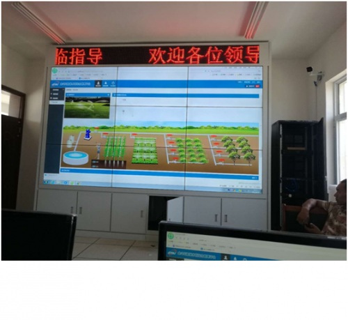 河南農科院實驗基地99蜜桃在线观看免费视频网站