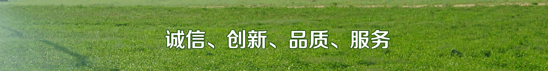 99蜜桃在线观看免费视频网站係統