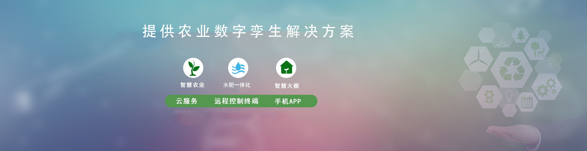 節水99蜜桃在线观看免费视频网站