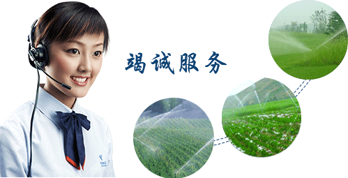  節水99蜜桃在线观看免费视频网站