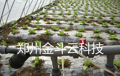農業99蜜桃在线观看免费视频网站