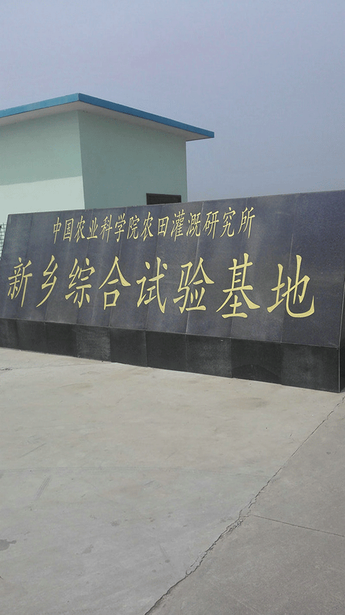 農業99蜜桃在线观看免费视频网站