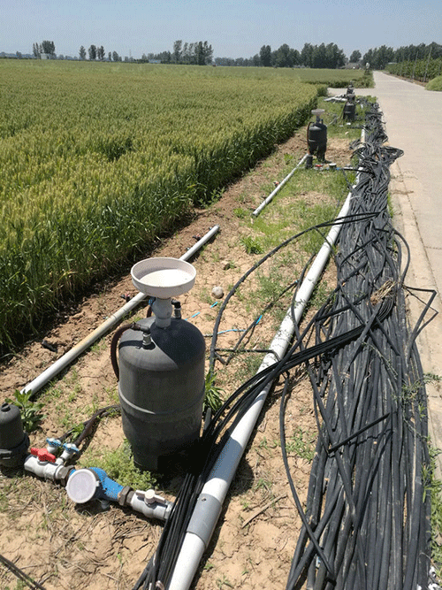 農業99蜜桃在线观看免费视频网站