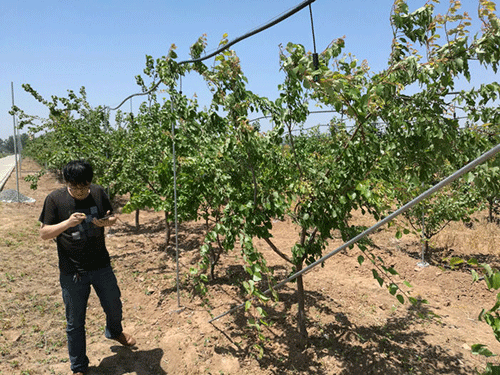 農業99蜜桃在线观看免费视频网站