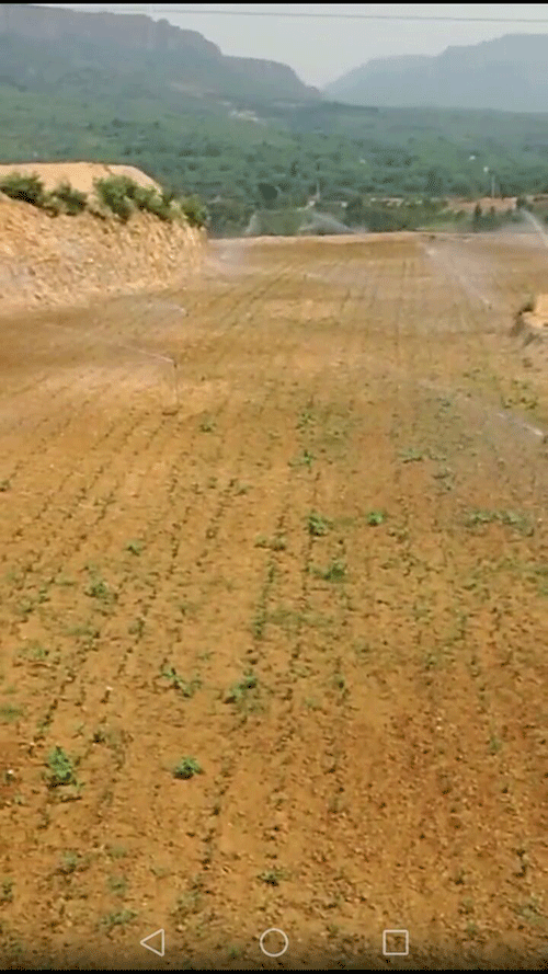 節水99蜜桃在线观看免费视频网站