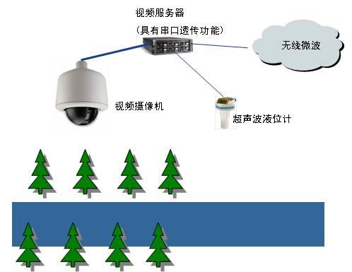 99蜜桃在线观看免费视频网站係統