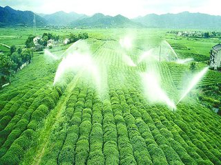 農業99蜜桃在线观看免费视频网站