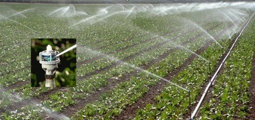 節水99蜜桃在线观看免费视频网站