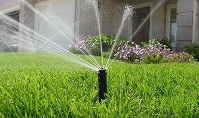 99蜜桃在线观看免费视频网站係統