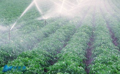 99蜜桃在线观看免费视频网站係統