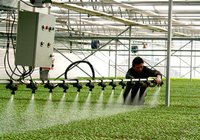 99蜜桃在线观看免费视频网站係統