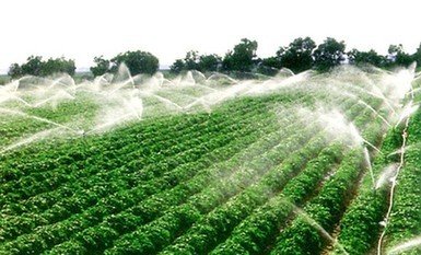 農業99蜜桃在线观看免费视频网站廠家