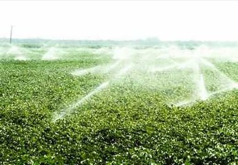 節水99蜜桃在线观看免费视频网站廠家