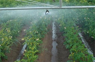 99蜜桃在线观看免费视频网站係統廠家