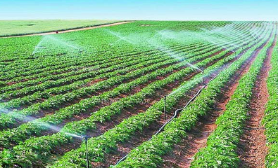 節水99蜜桃在线观看免费视频网站廠家