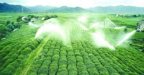 99蜜桃在线观看免费视频网站係統廠家