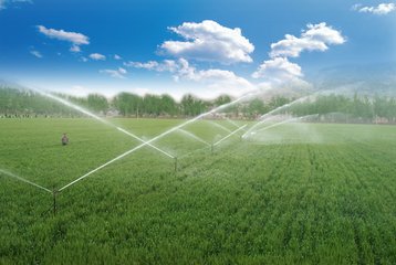 99蜜桃在线观看免费视频网站係統廠家