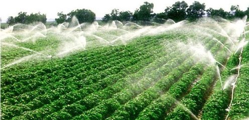 節水99蜜桃在线观看免费视频网站