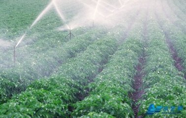 節水99蜜桃在线观看免费视频网站