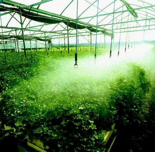 99蜜桃在线观看免费视频网站係統