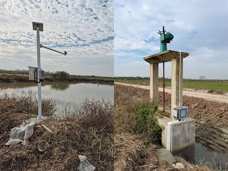 鄭州水蜜桃一区二区三区電子科技有限公司
